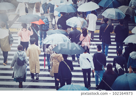 Crosswalk on a rainy day Crosswalk on a rainy day 102164973