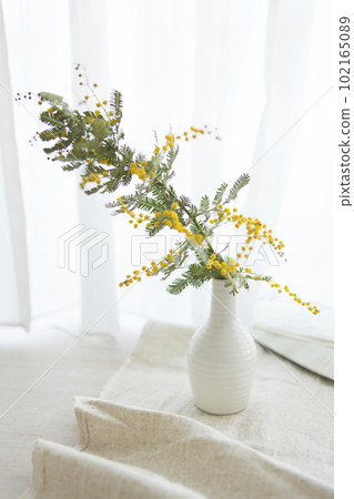 Natural interior with mimosas and vases 102165089