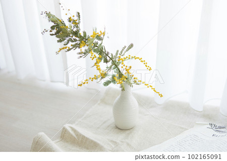 帶含羞草和花瓶的自然內飾 帶含羞草和花瓶的自然內飾 102165091