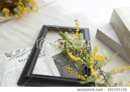 Stylish background of mimosa and foreign books 102165130