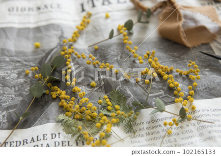 Mimosa arrangement 102165133