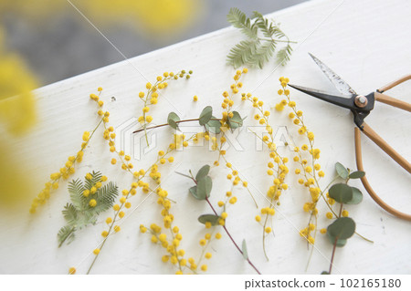Mimosa and eucalyptus arrangement 102165180