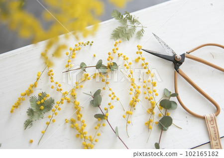 Mimosa and eucalyptus arrangement Mimosa and eucalyptus arrangement 102165182