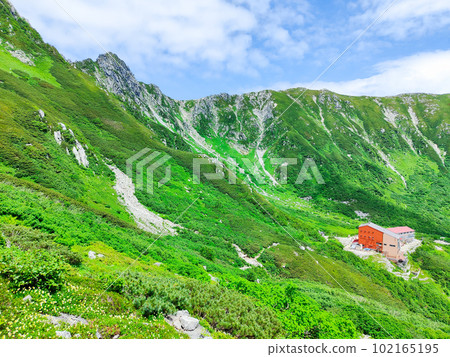 千疊敷捲曲（夏季） 102165195