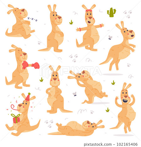 Funny Kangaroo Marsupial Animal Engaged in Different Activity Vector Set 102165406
