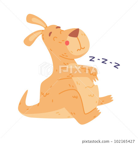 Funny Kangaroo Marsupial Animal Sleeping and Snoring Vector Illustration 102165427