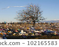 consequences of strong wind at the landfill 102165583