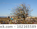 consequences of strong wind at the landfill 102165589