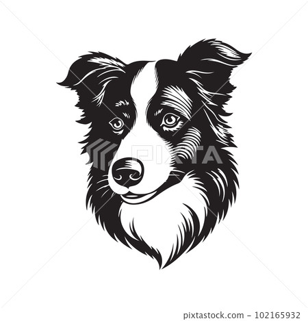 border collie dog, vector concept digital art, hand drawn illustration 102165932