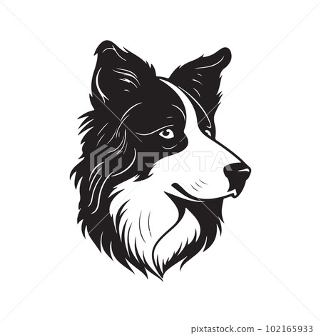 border collie dog, vector concept digital art, hand drawn illustration 102165933