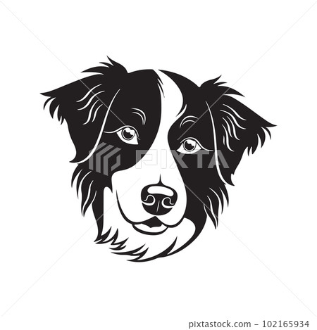 border collie dog, vector concept digital art, hand drawn illustration 102165934