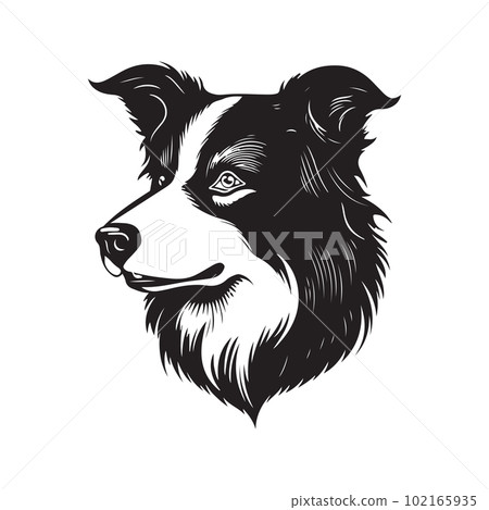 border collie dog, vector concept digital art, hand drawn illustration 102165935