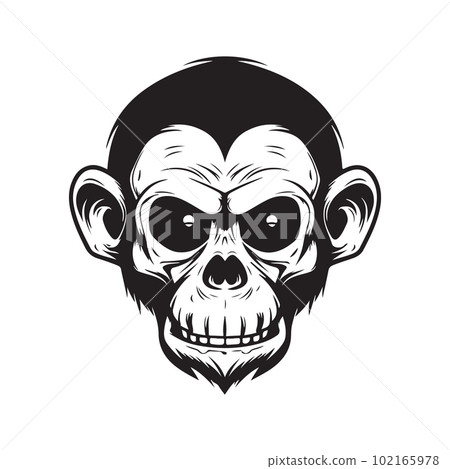 monkey with human skull, vector concept digital art ,hand drawn illustration monkey with human skull, vector concept digital art ,hand drawn illustration 102165978