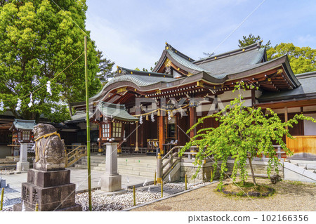 Karakuni Shrine Worship Hall Season of fresh greenery (Fujiidera City, Osaka Prefecture) 102166356