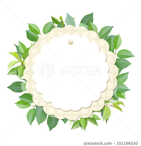 Responsible consumption. Circle made from green leaves and round label from recycled paper. Eco-friendly business. Love of nature. Ecology and zero waste concept Responsible consumption. Circle made from green leaves and round label from recycled paper. Eco-friendly business. Love of nature. Ecology and zero waste concept 102166830