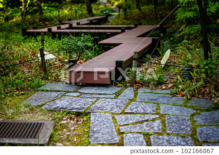 Urban park Urban park 102166867