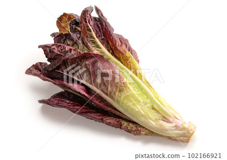 Red Romaine lettuce 102166921