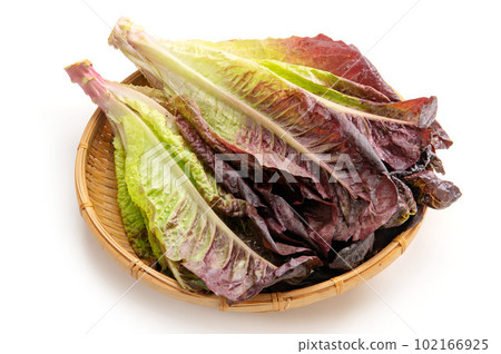Red Romaine lettuce Red Romaine lettuce 102166925