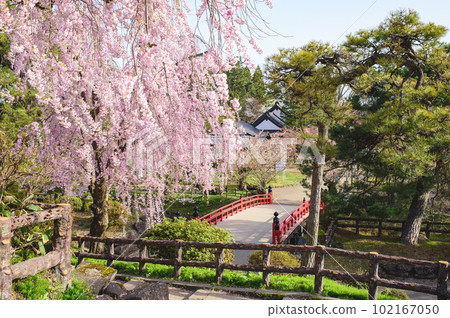 日本春天早晨弘前城青森縣的美麗風景 日本春天早晨弘前城青森縣的美麗風景 102167050