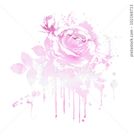 Vector stock flower illustration, Pink rose on a white background. Watercolor style Vector stock flower illustration, Pink rose on a white background. Watercolor style 102168713