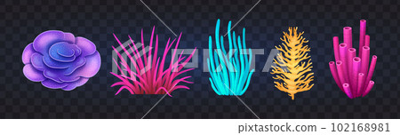 Coral Reef Set 102168981