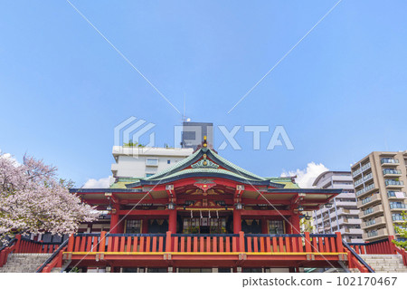 井原住吉神社櫻花盛開(大阪市西區九條) 井原住吉神社櫻花盛開(大阪市西區九條) 102170467