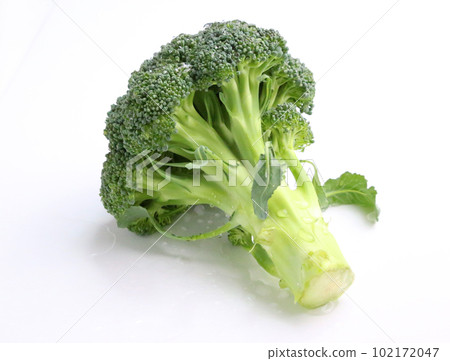 日本新鮮西蘭花滴水，燈光拍攝 102172047