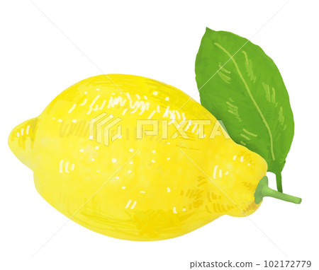 A simple touch of a real lemon illustration A simple touch of a real lemon illustration 102172779