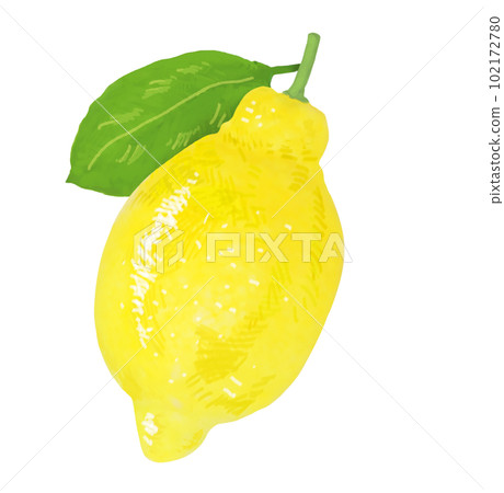 A simple touch of a real lemon illustration A simple touch of a real lemon illustration 102172780