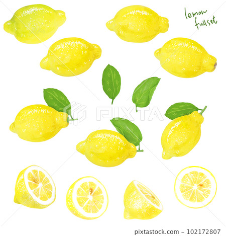 A simple touch of a real lemon illustration A simple touch of a real lemon illustration 102172807
