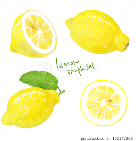 A simple touch of a real lemon illustration A simple touch of a real lemon illustration 102172808