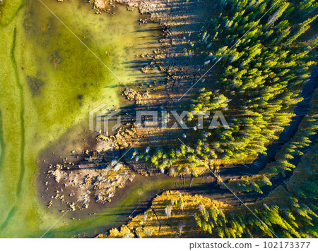 A drone view of the river in the woods. An aerial view of an autumn forest. A drone view of the river in the woods. An aerial view of an autumn forest. 102173377