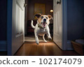 Excited and happy dog at home door entrance greeting the arrival of her master. Created with Generative AI technology. 102174079