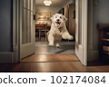 Excited and happy dog at home door entrance greeting the arrival of her master. Created with Generative AI technology. 102174084