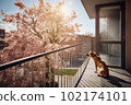 Bored pet dog looking out from balcony of high rise home apartment with morning sun rays, Created with Generative AI technology. 102174101