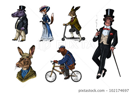 Fashion Dog. Animal characters. Brown bear rides a bike. Fox and monkey, hippopotamus and Hare or 102174697