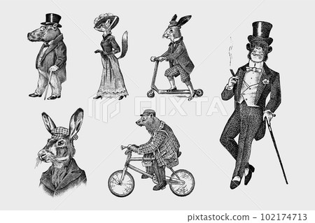 Fashion Dog. Animal characters. Brown bear rides a bike. Fox and monkey, hippopotamus and Hare or 102174713
