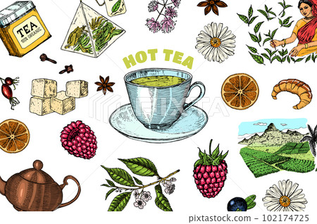 Herbal Tea bag brewing cooking directions. Teapot, cup, sugar, plants, landscape, raspberries Herbal Tea bag brewing cooking directions. Teapot, cup, sugar, plants, landscape, raspberries 102174725