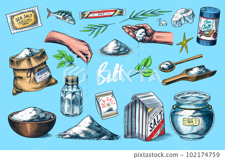 Sea salt set. Glass bottles, packaging and and leaves, wooden spoons, powdered powder, spice in the 102174759