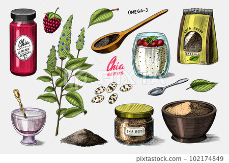 Chia plant and seeds. Salvia hispanica. Spice packaging, wooden spoon and dessert cup and pudding. A 102174849