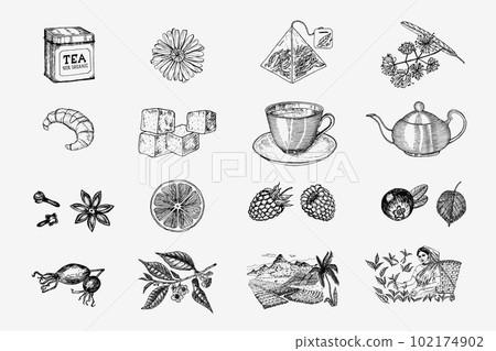 Herbal Tea bag brewing cooking directions. Teapot, cup, sugar, plants, landscape, raspberries 102174902