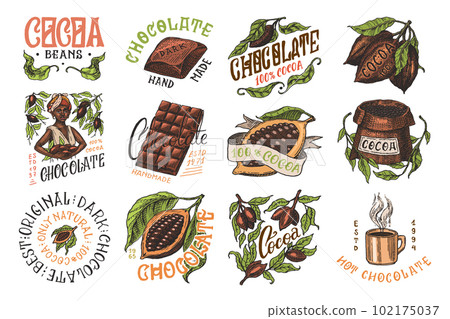 Cocoa Beans and Chocolate. Woman and cup of drink. Vintage badge or logo set for t-shirts 102175037