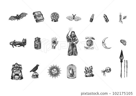 Witch brews a potion in a cauldron. Magic ball, book of spells, black cat, beldam and sorcery, Crow 102175105