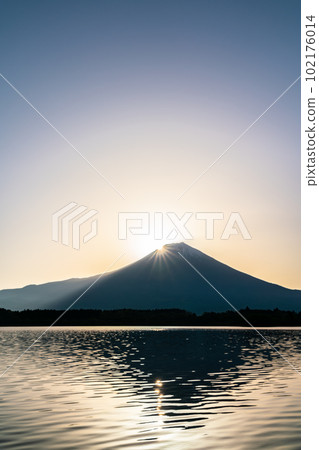 [靜岡縣]富士山和從田貫湖鑽石富士看到的朝陽 102176014