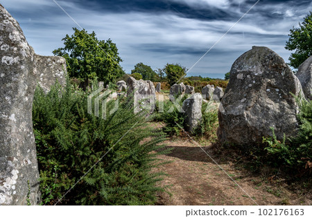 Ancient Stone Field Kerzerho Cruzuno With Neolithic Megaliths Near Finistere Village Carnac In Brittany, France 102176163
