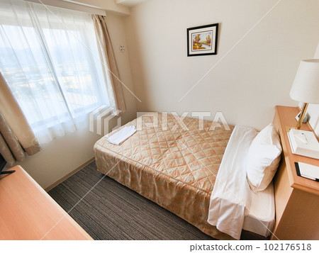 商務酒店房間 102176518