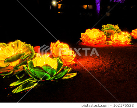 Ryukyu lantern 102176528