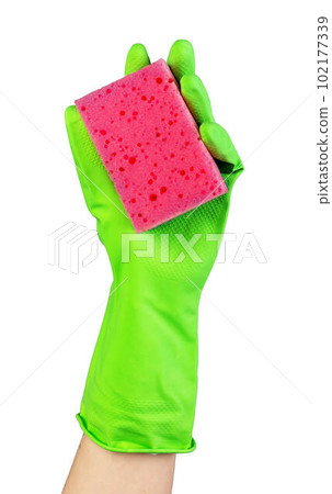 Hand in green glove holding washing sponge of red pink color isolated on white background Hand in green glove holding washing sponge of red pink color isolated on white background 102177339