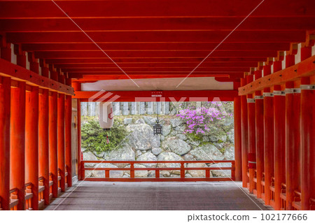 Itsukushima Shrine West Corridor Itsukushima Shrine West Corridor 102177666