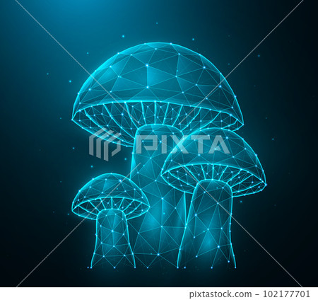 Polygonal mushrooms vector illustration isolated on dark blue background. 102177701